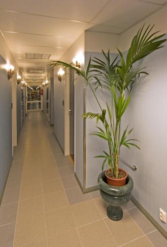 Mango Hotel - image 5