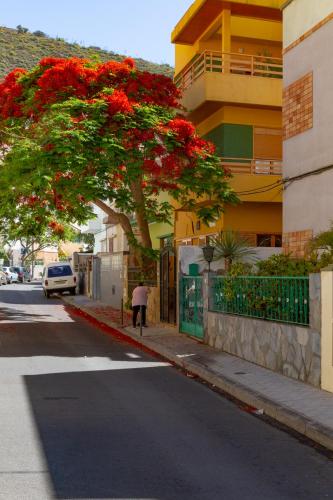 Casa Dona Carmela GuestHouse - Tenerife - 주변 환경