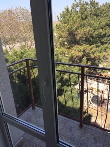 Hotel Paulina in Balti