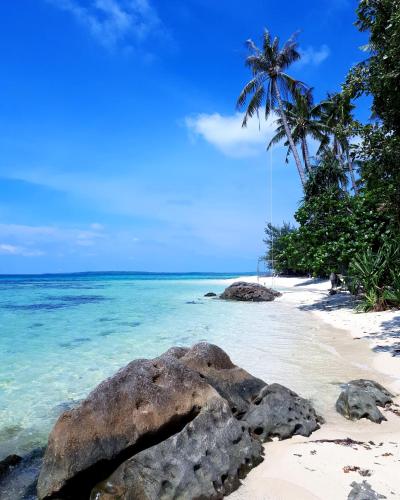 Surrounding environment, L'isola Che… in Karimunjawa