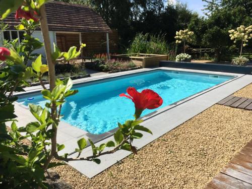 La Chambre du Chemin Vert : Spa Piscine Sauna chambre d'hôte Molembais Saint-Pierre