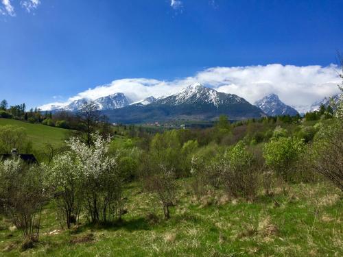Villa Holiday Tatry - main image