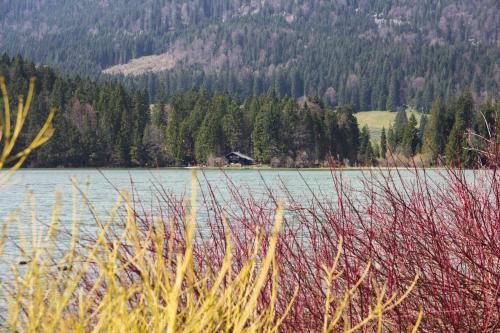 Berggasthof Willy Merkl Haus Spitzingsee Today S Deal