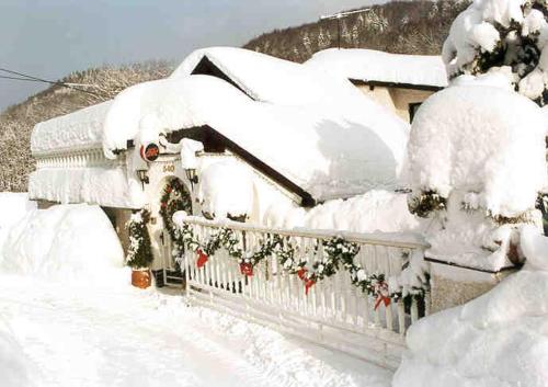 Penzion OK - Svoboda nad Úpou