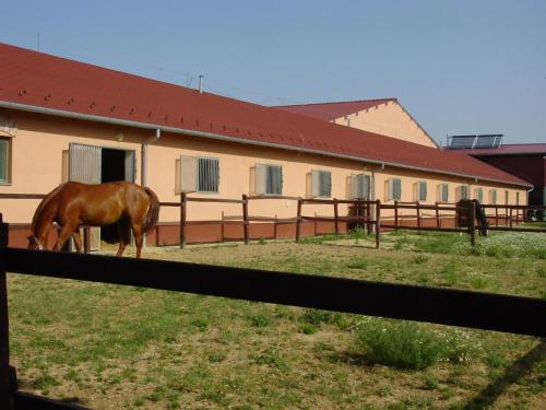 Tótvár lovas szálláshely - image 8