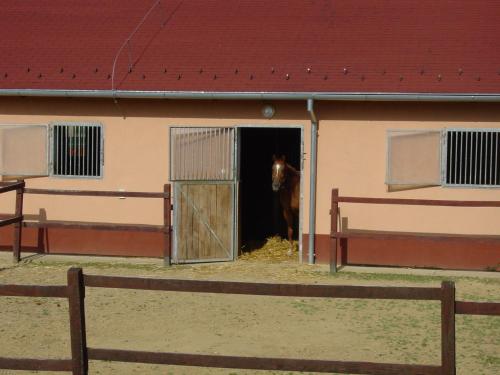 Tótvár lovas szálláshely - image 5