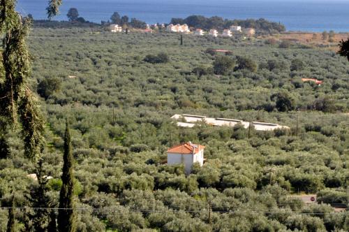  Faidra´s Farm in Ástros