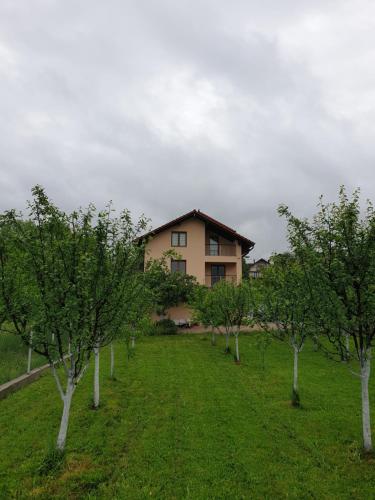 Apartments Karabegovic - image 3