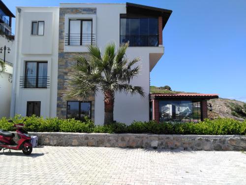  Pruva Gündoğan in Bodrum