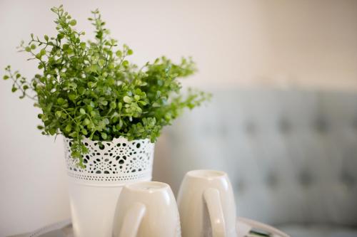 Facilities, Villa Geriwada in Darmstadt Suburbs