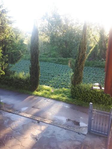 B&B DUE ABETI - image 7