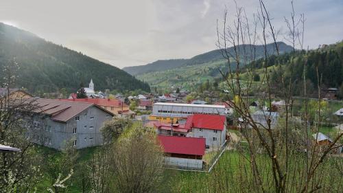 Pensiunea Jianu - image 9
