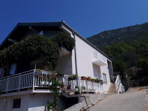  Studio apartman Suzy, Pension in Ston