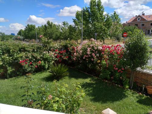 Chalet Villa Maria - image 7