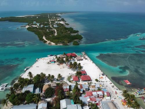 strand, Barefoot Caye Caulker Hotel in Caye Caulker