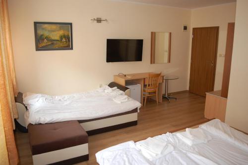 Hotel Vitosha - image 8