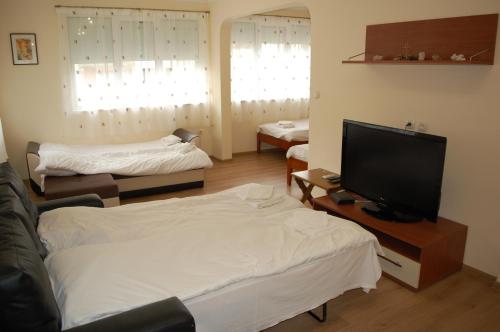 Hotel Vitosha - image 12