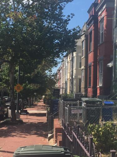 An English Gem near Union Station detail