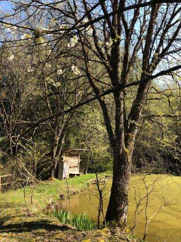 Ümbrus, Eifelwolke in Kerschenbach