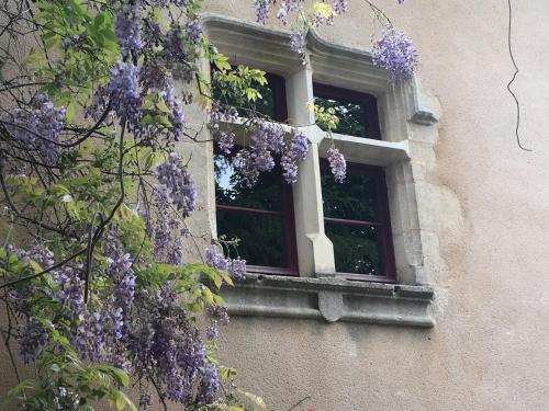 La Maison Arouet in St Loup Lamaire