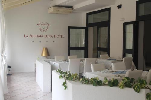 Pub/Lounge, Hotel La Settima Luna in Basanija