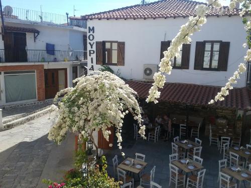 Mouria Hotel - image 14