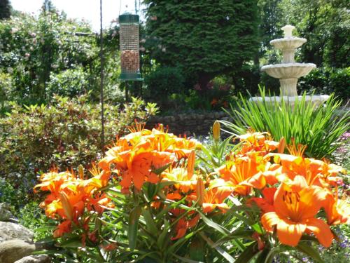 Storrs Gate House - image 6