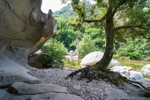 Camping Les Oliviers - image 6