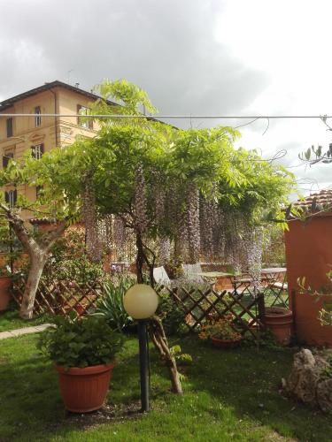 Al Giardino Di Alice - image 6