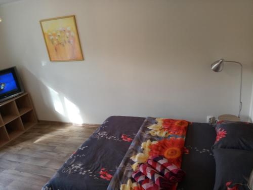Apartment Arena Riga quiet center FREE PARKING, Riga (foto 5)