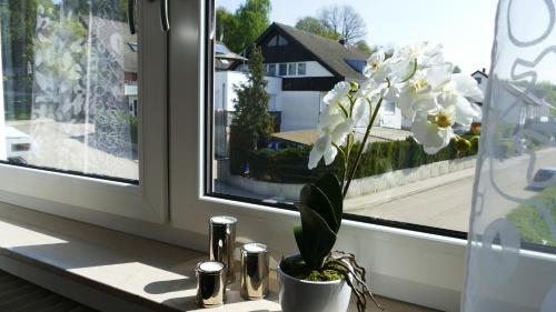 guest apartment niederalfingen