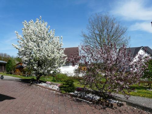 Ferienwohnung Udo und Stefani Laux in Berg, Deutschland