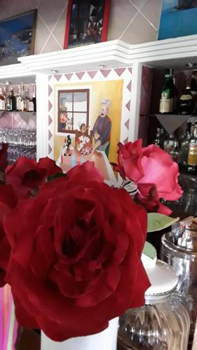 Hotel Pinocchio – Arzachena, NJ