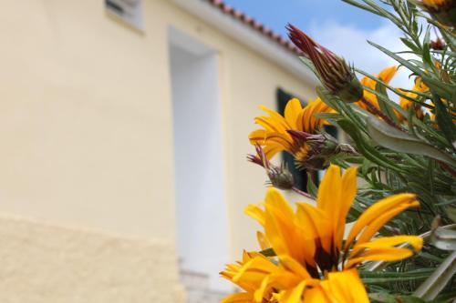  Antonis Traditional House in Lixouri