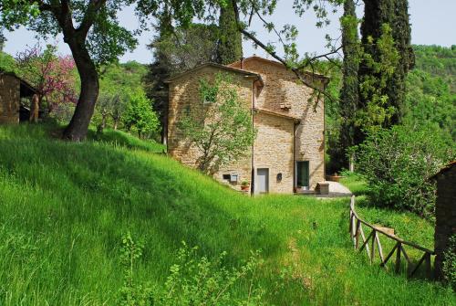 La Doccia - Anghiari