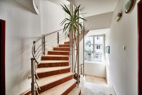 Apartments Mont - image 3