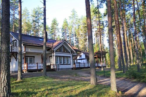 . Big House in a Pine Forest