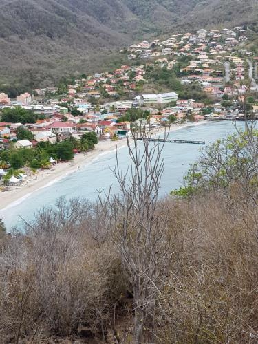 LA YOLE des Caraïbes