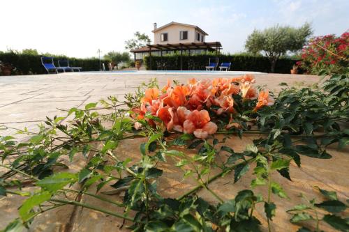 Agriturismo Casale Sasso - image 3