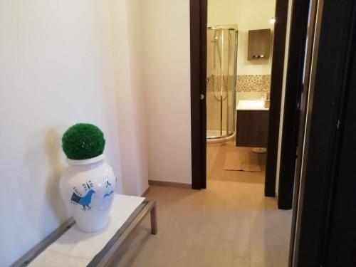 B&B Nino - image 4