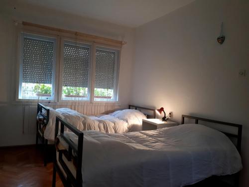 Edelweiss Hostel in Veles