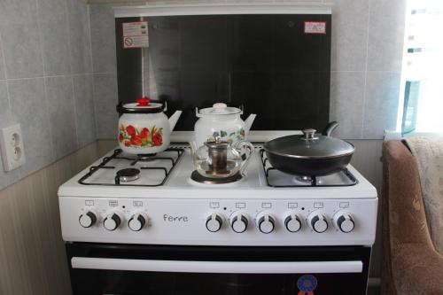 Snow Leopard Hostel in Karakol