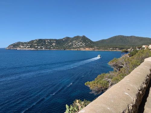 Apartaments Sa Torre - image 14