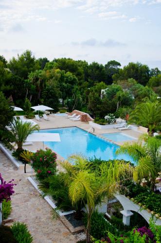 Paraíso de los Pinos - main image