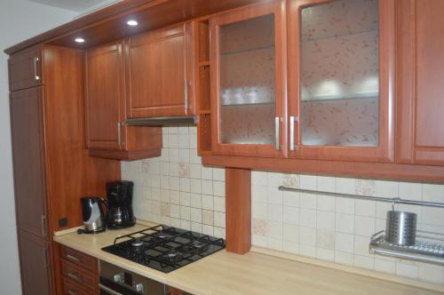 Telepes Apartman - image 12