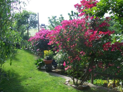 Bed e Breakfast Il Bosco Delle Torte