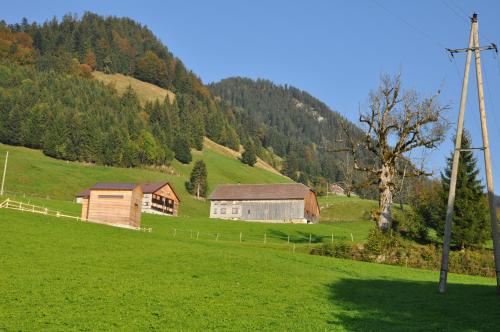 Gästehaus Graf - image 7