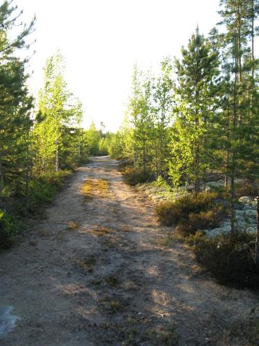 Maatilamatkailu Ilomäki - image 5
