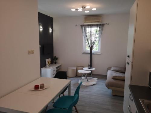  Apartment Vesna in Novalja