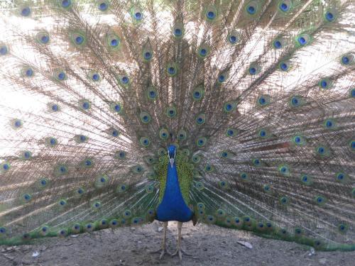 Hotel Rural Los Frutales - image 10